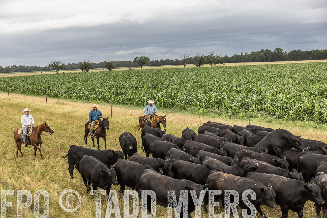 TMyers_Cameron_June2022-526378