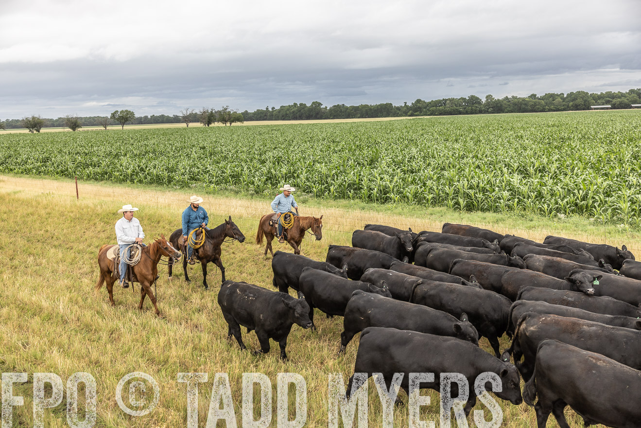 TMyers_Cameron_June2022-526384
