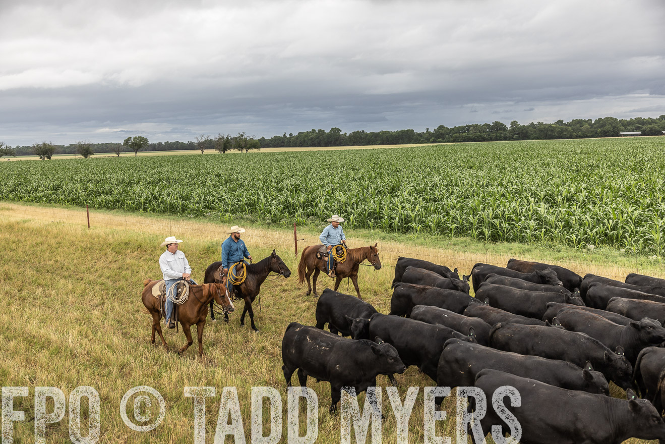 TMyers_Cameron_June2022-526385