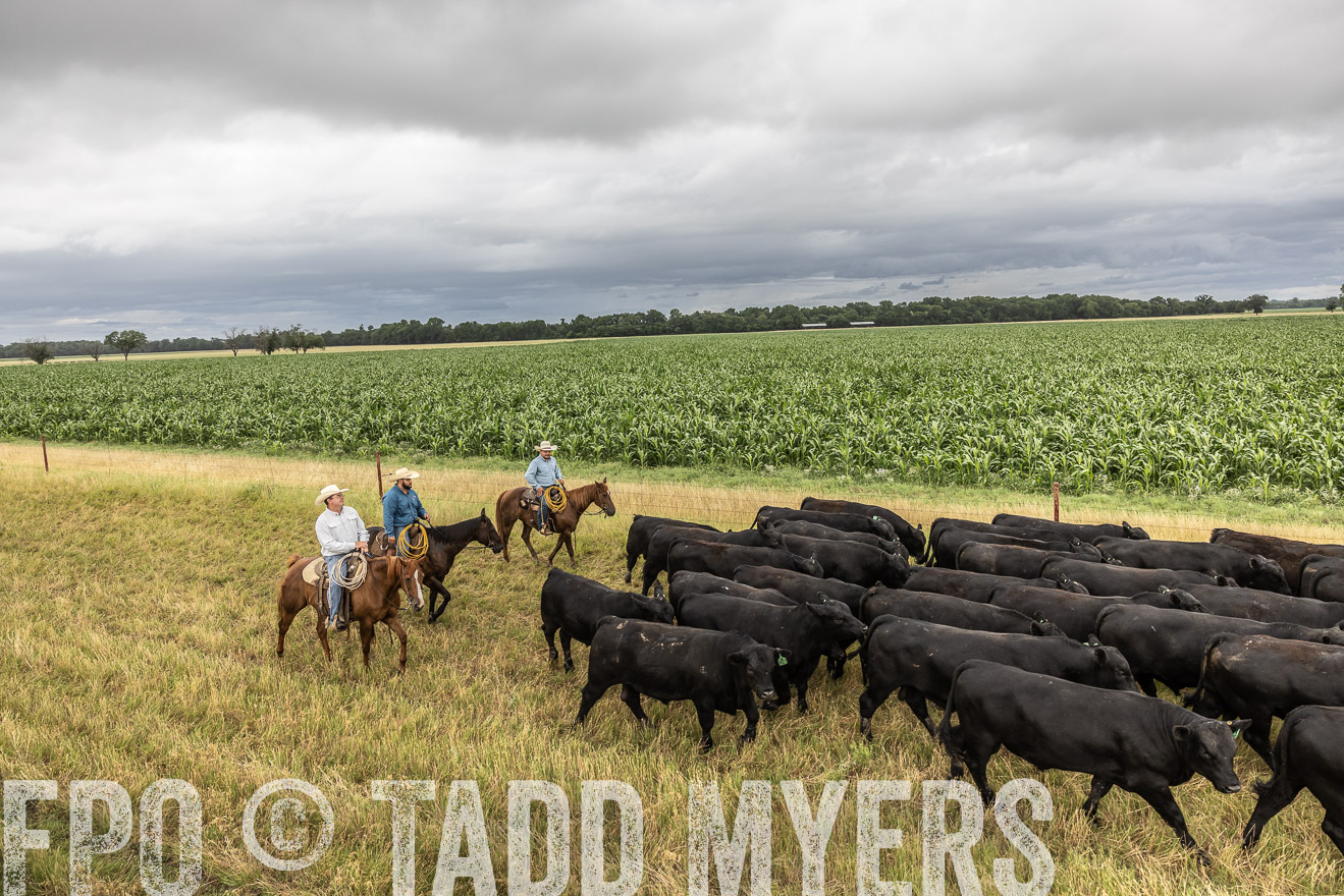TMyers_Cameron_June2022-526387