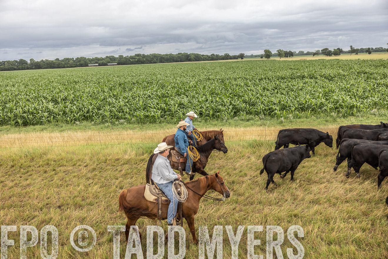 TMyers_Cameron_June2022-526392