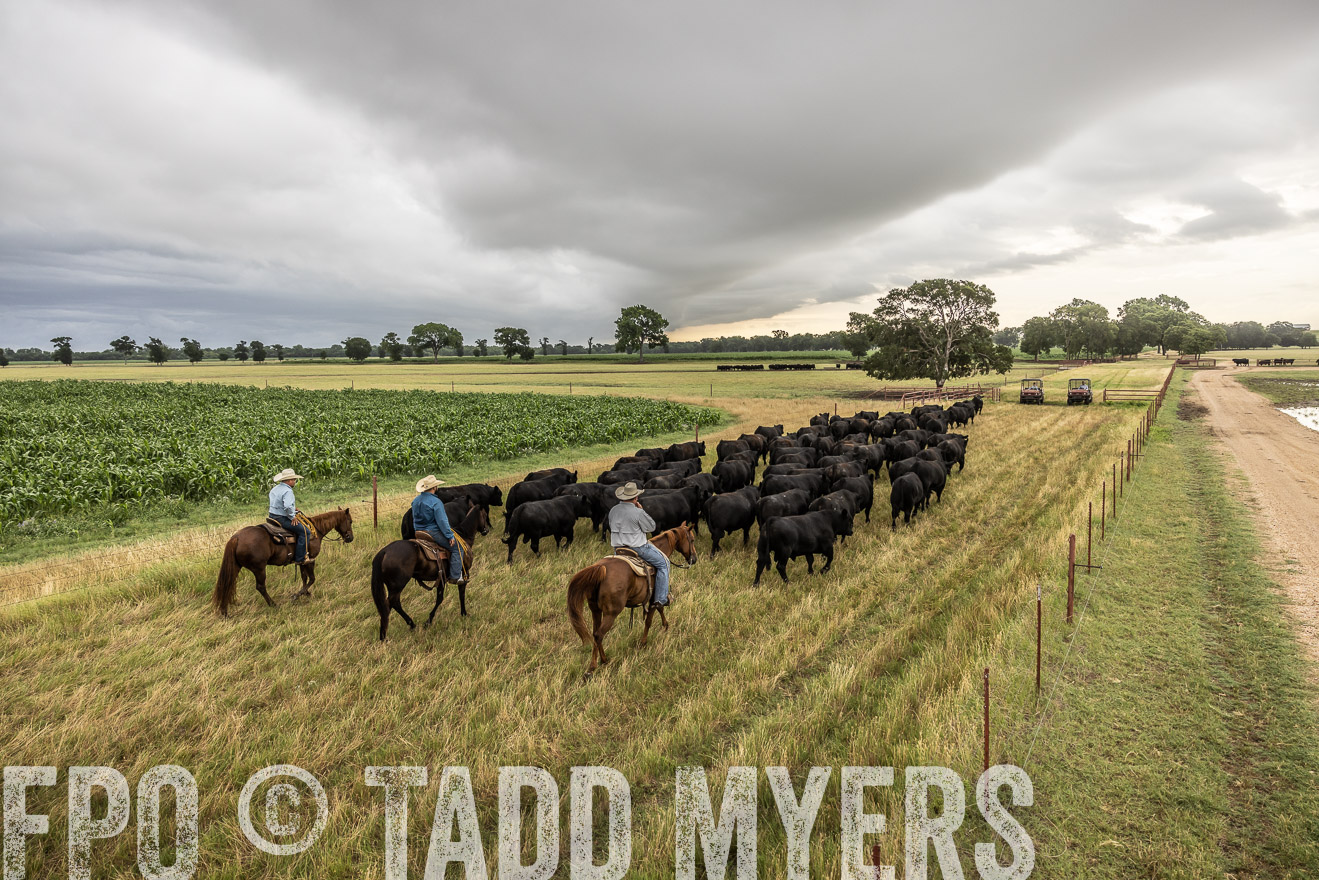 TMyers_Cameron_June2022-526400