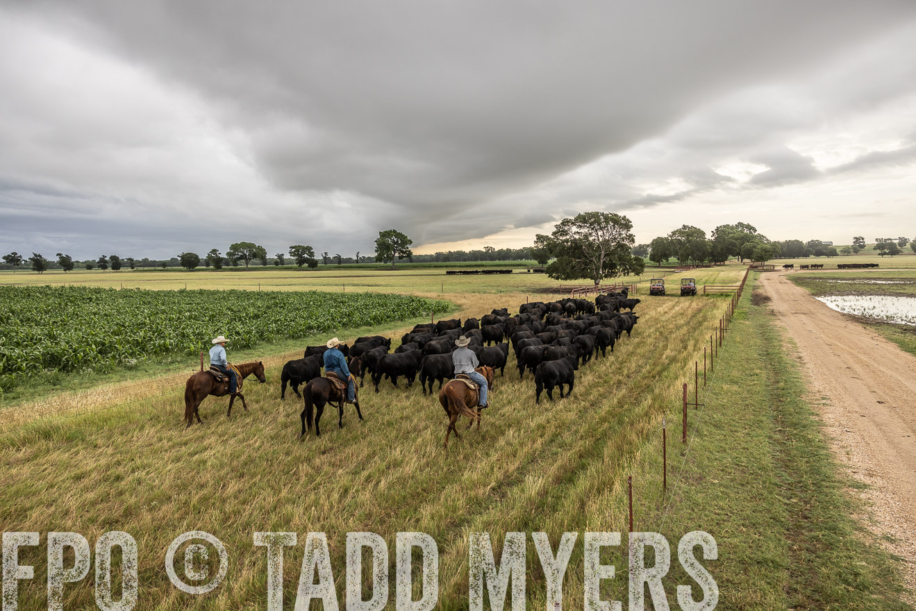 TMyers_Cameron_June2022-526405