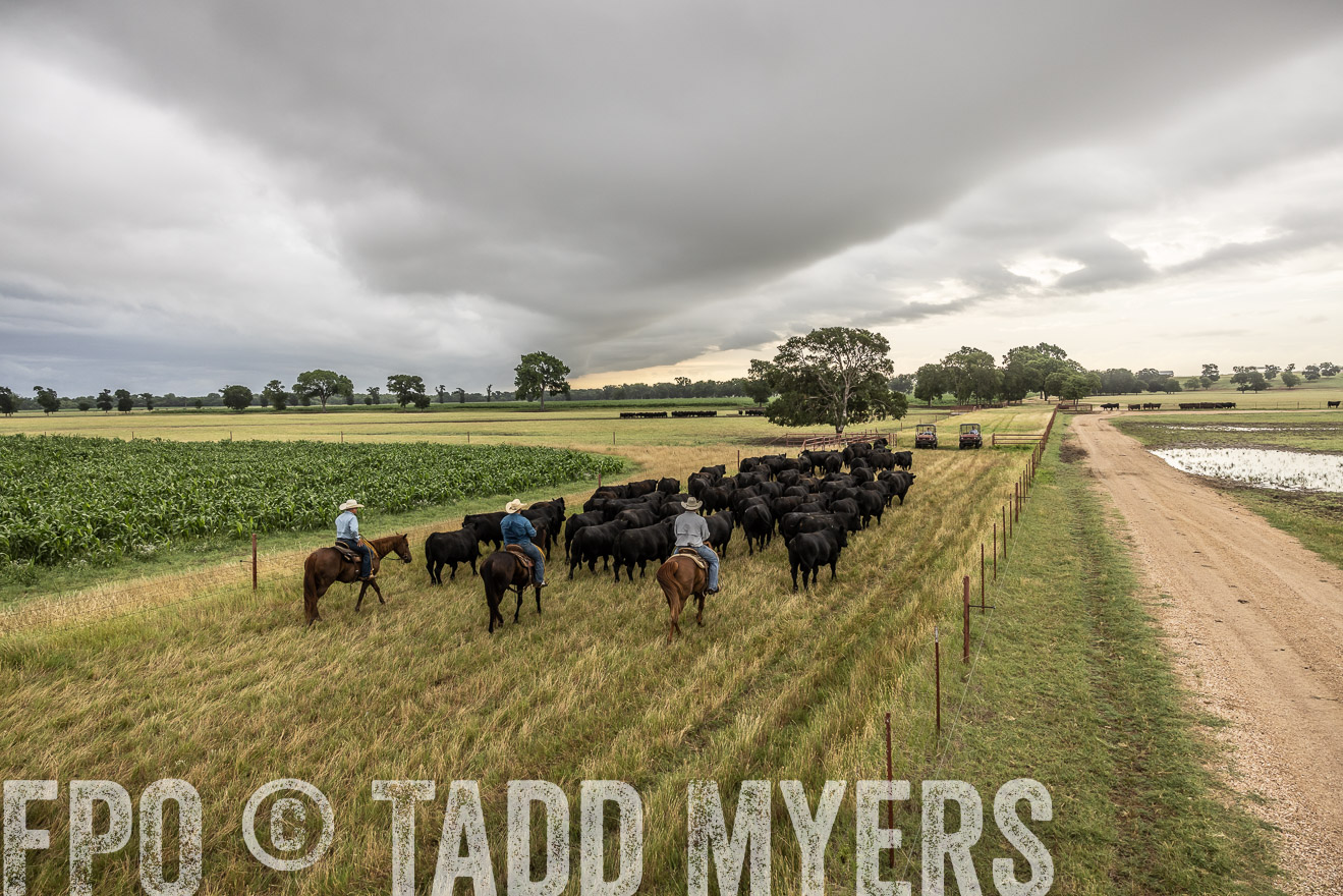 TMyers_Cameron_June2022-526409