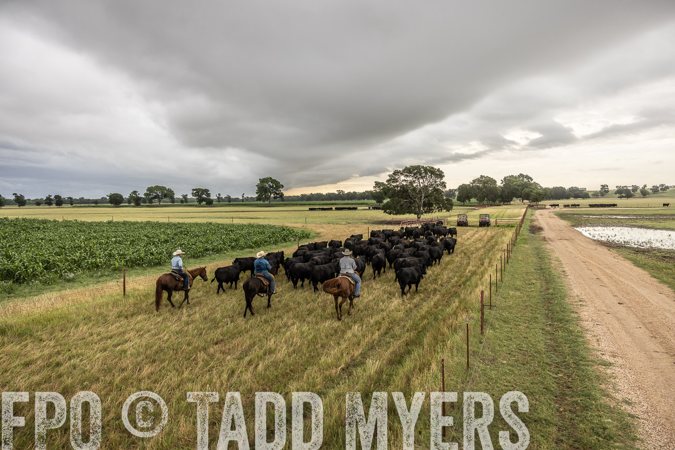 TMyers_Cameron_June2022-526410