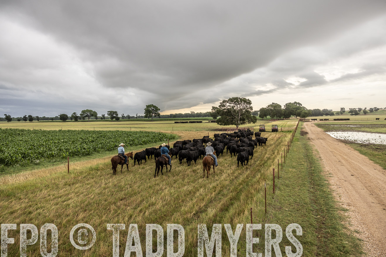 TMyers_Cameron_June2022-526415