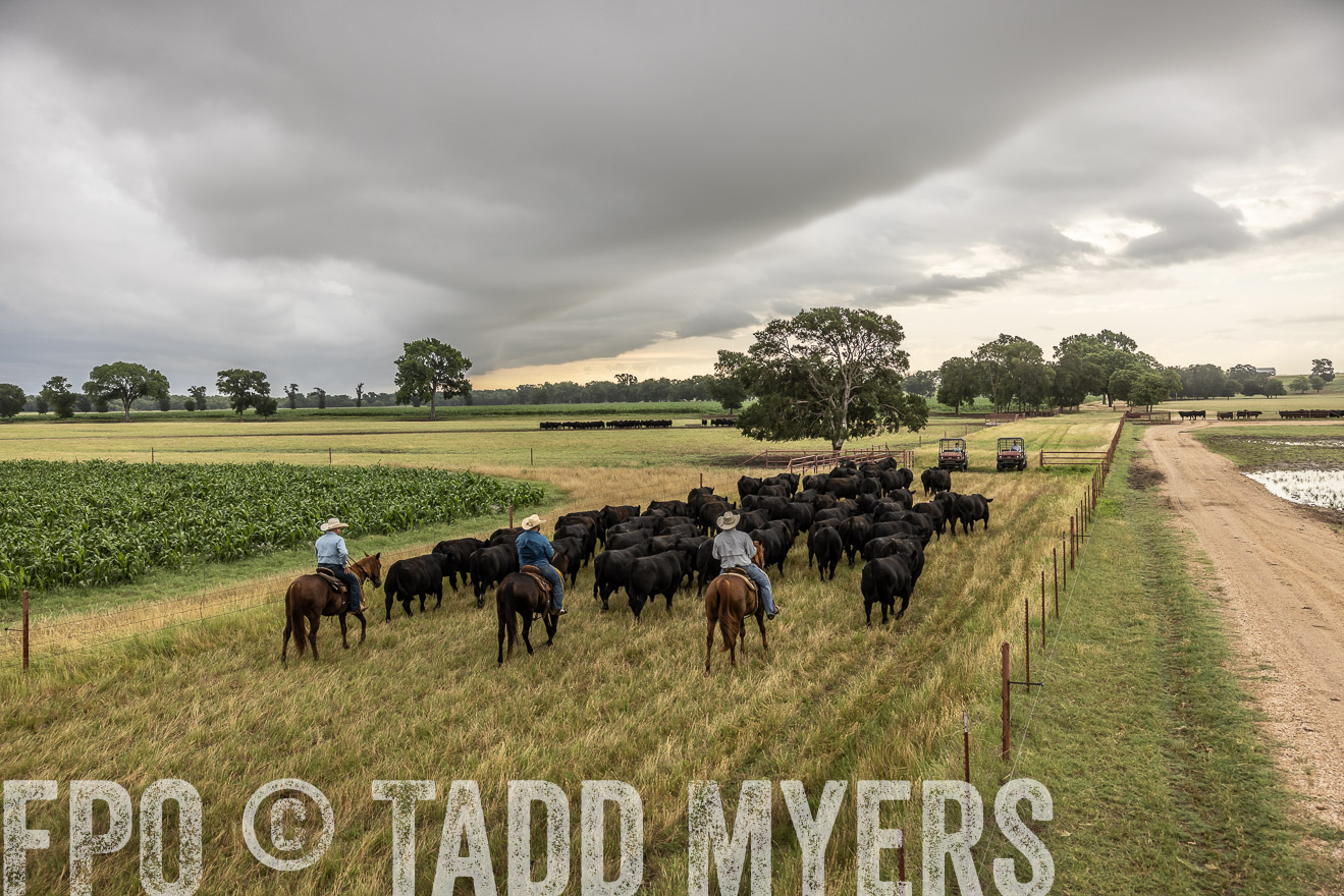TMyers_Cameron_June2022-526418