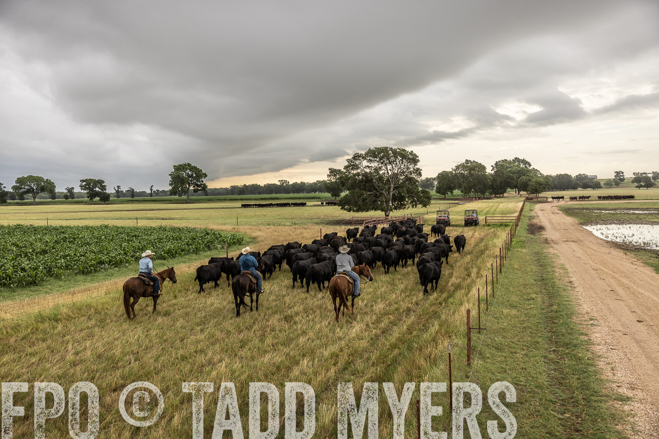 TMyers_Cameron_June2022-526422
