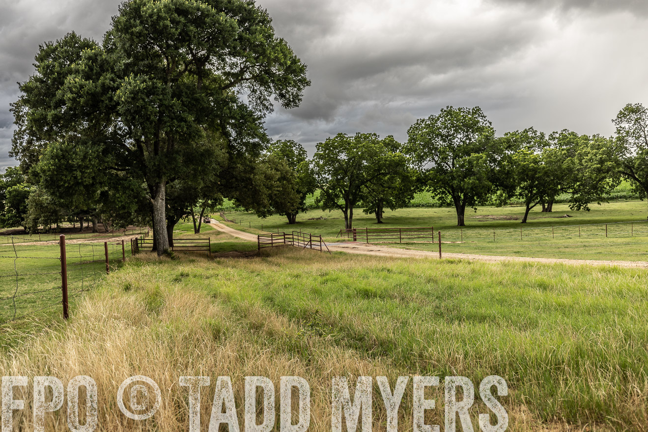 TMyers_Cameron_June2022-526440