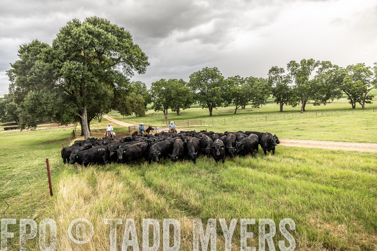 TMyers_Cameron_June2022-526455
