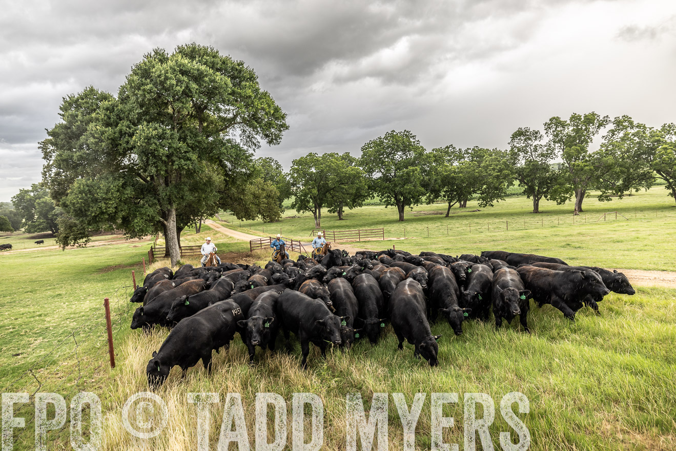 TMyers_Cameron_June2022-526461