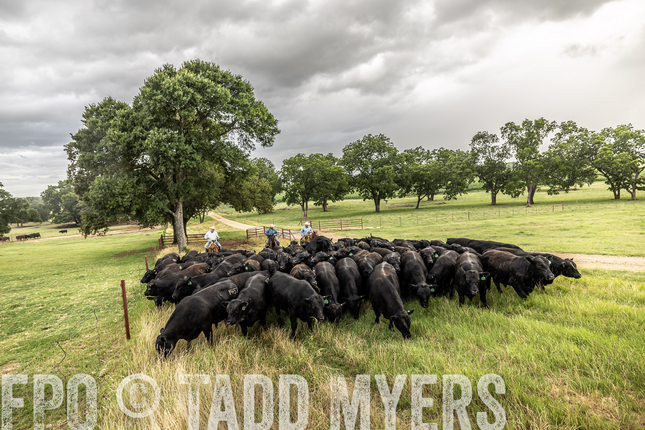 TMyers_Cameron_June2022-526463