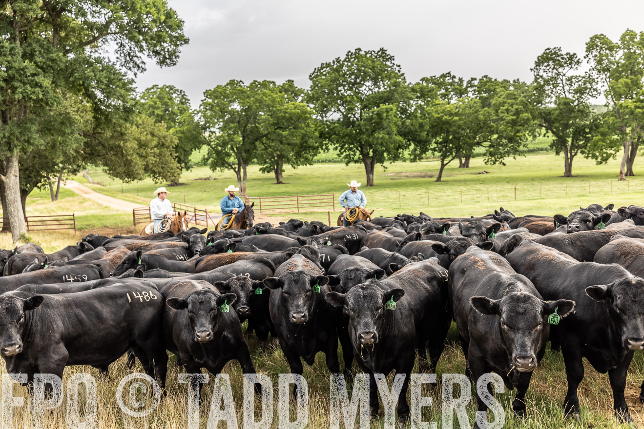 TMyers_Cameron_June2022-526503