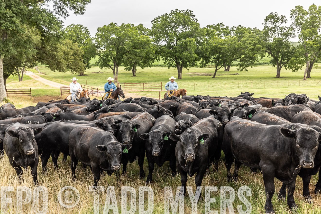 TMyers_Cameron_June2022-526506