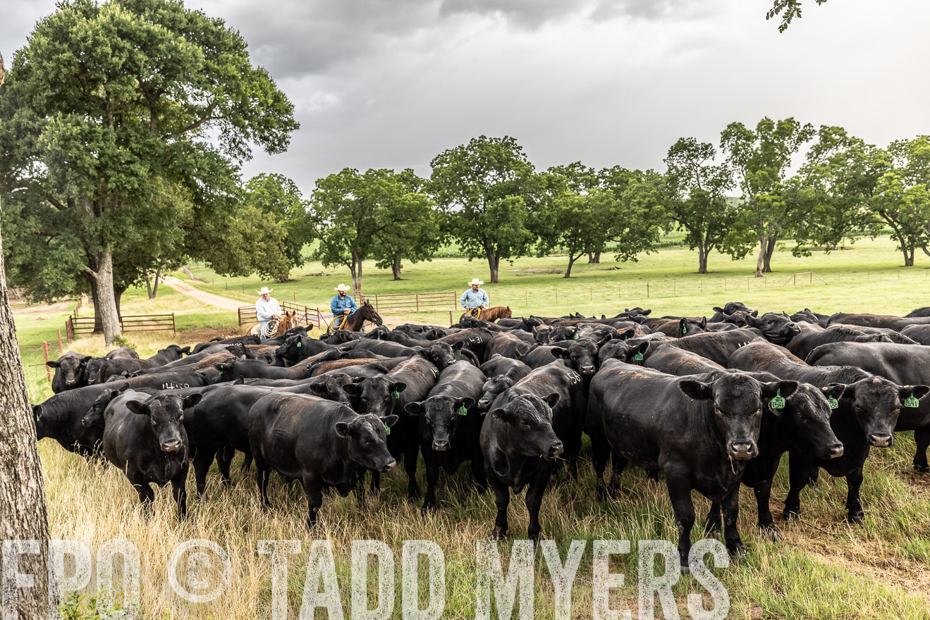 TMyers_Cameron_June2022-526507