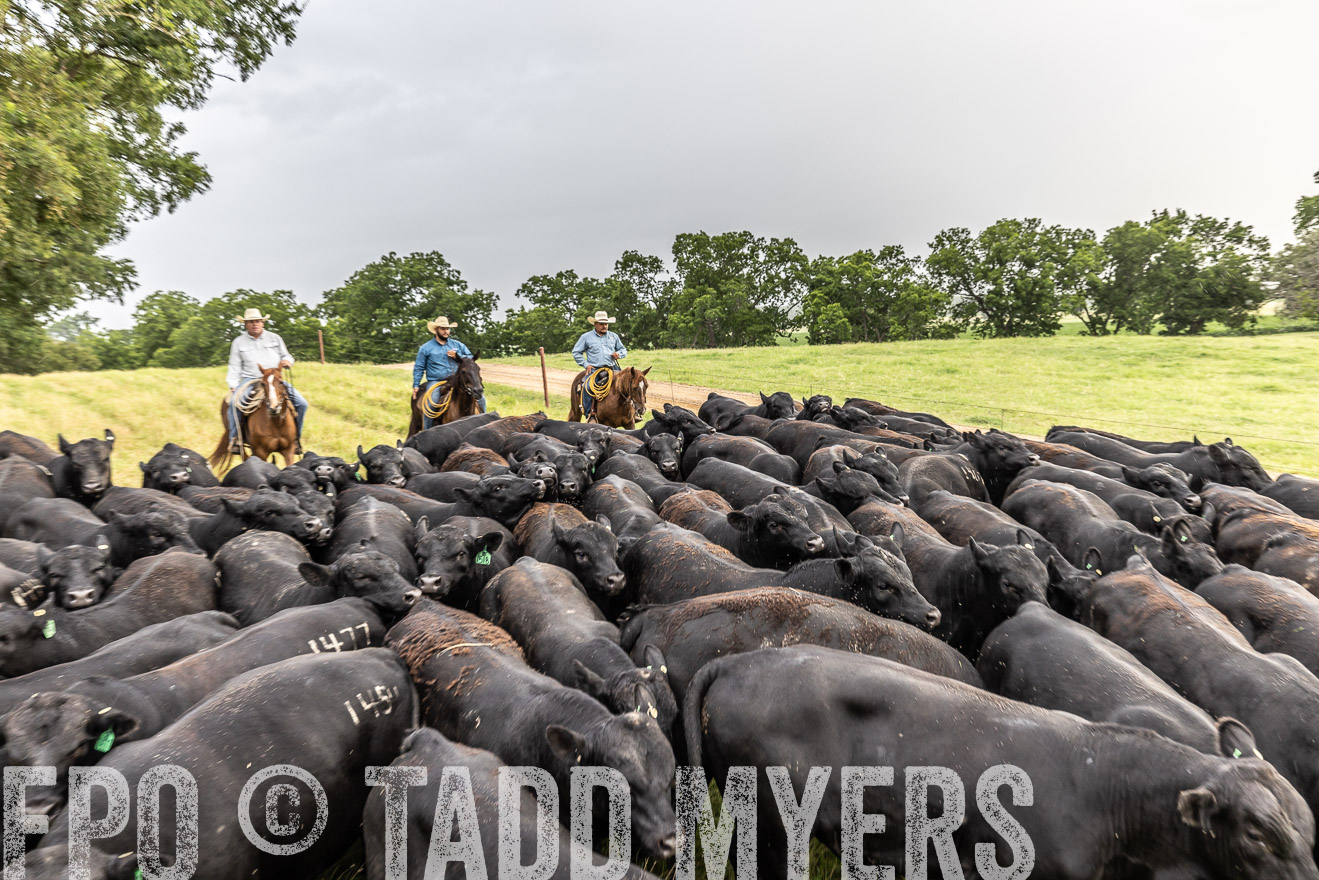 TMyers_Cameron_June2022-526530
