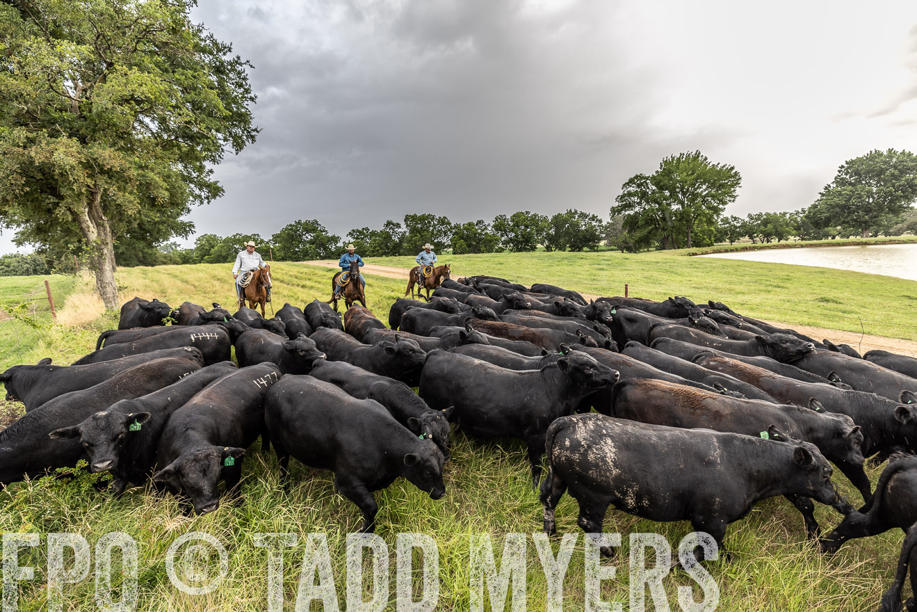 TMyers_Cameron_June2022-526542