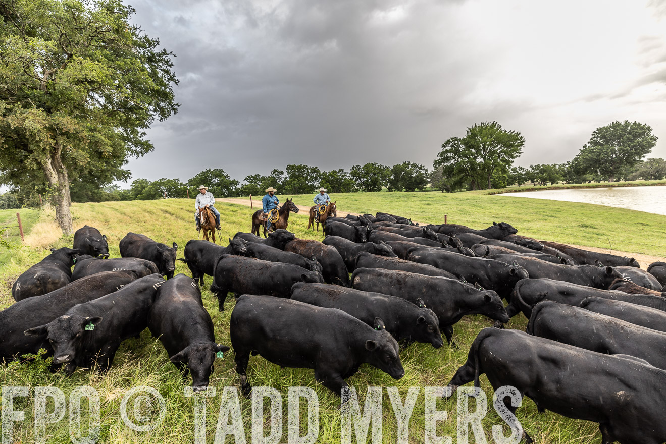 TMyers_Cameron_June2022-526549