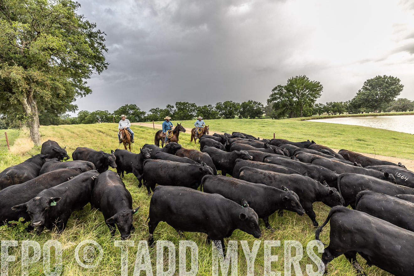 TMyers_Cameron_June2022-526551