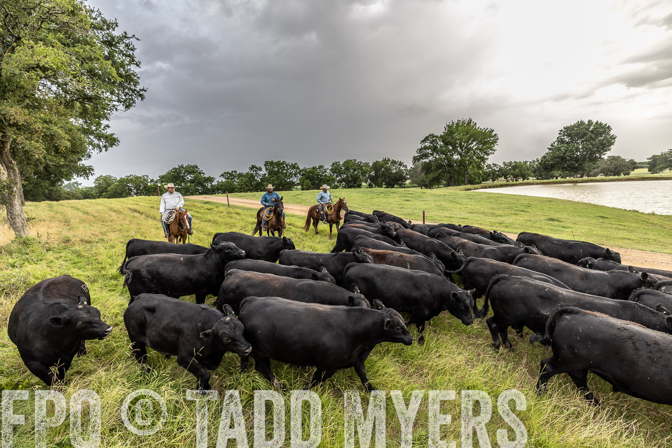 TMyers_Cameron_June2022-526559