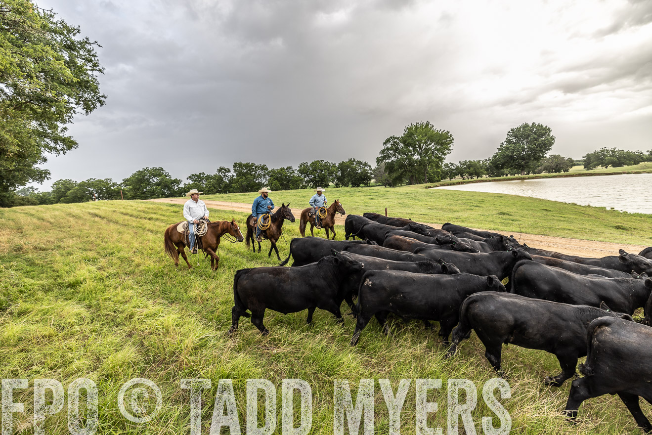 TMyers_Cameron_June2022-526572