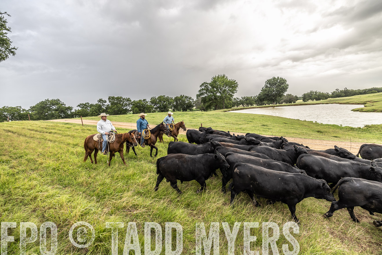 TMyers_Cameron_June2022-526577