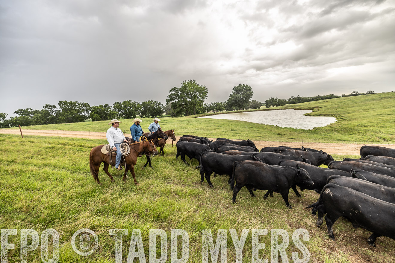 TMyers_Cameron_June2022-526587