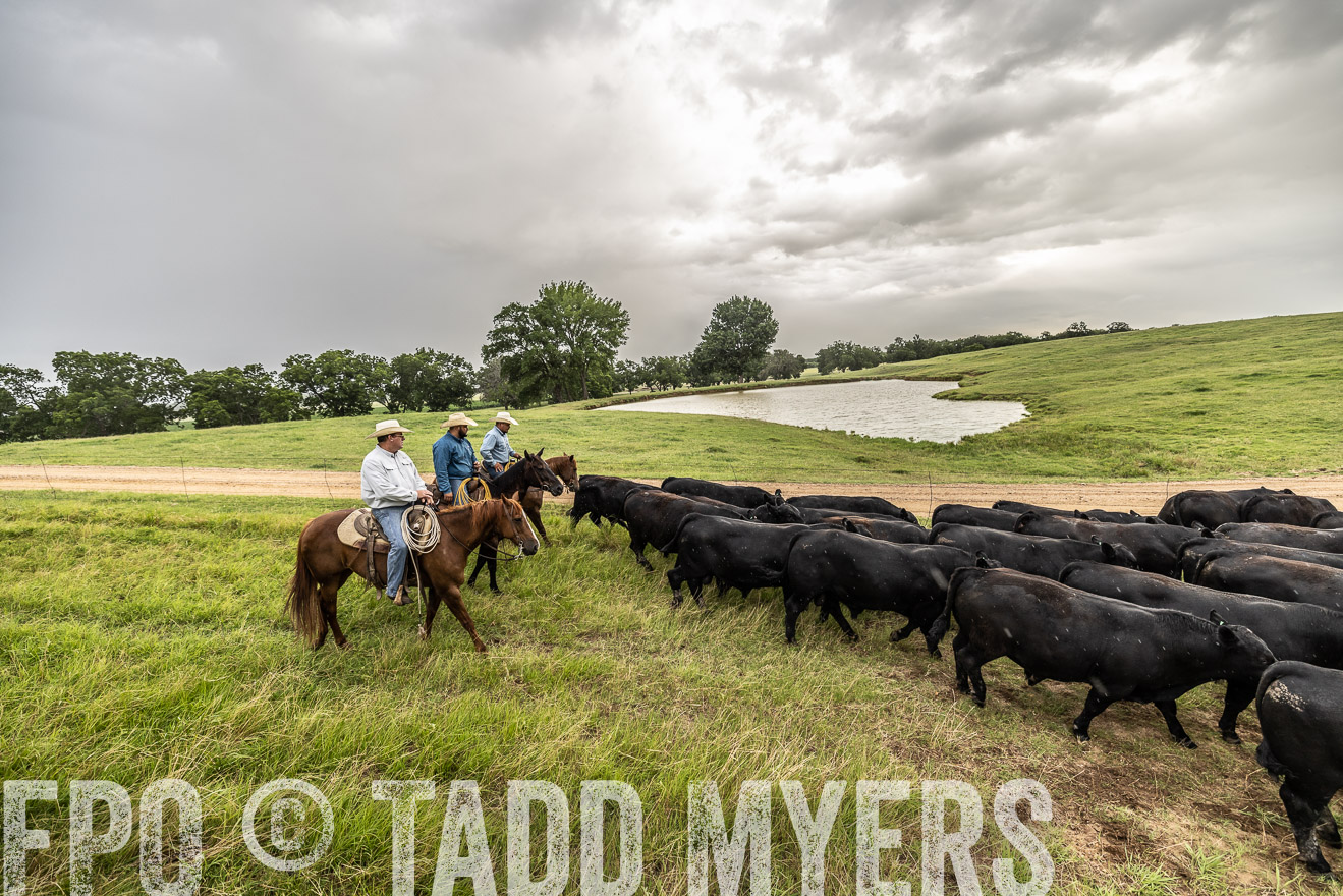 TMyers_Cameron_June2022-526592