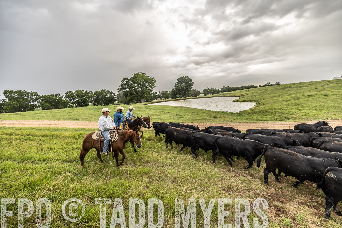 TMyers_Cameron_June2022-526595