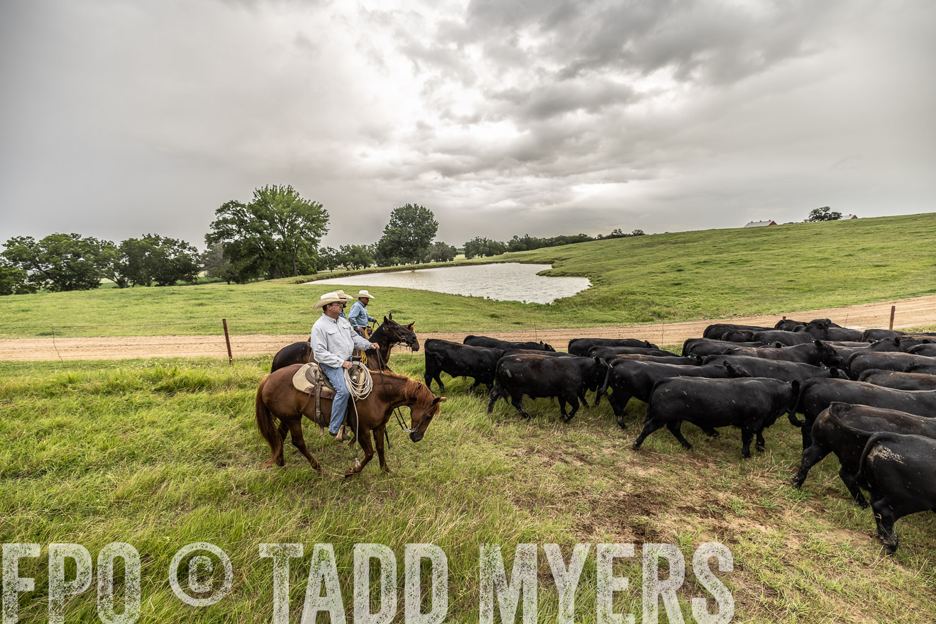 TMyers_Cameron_June2022-526603