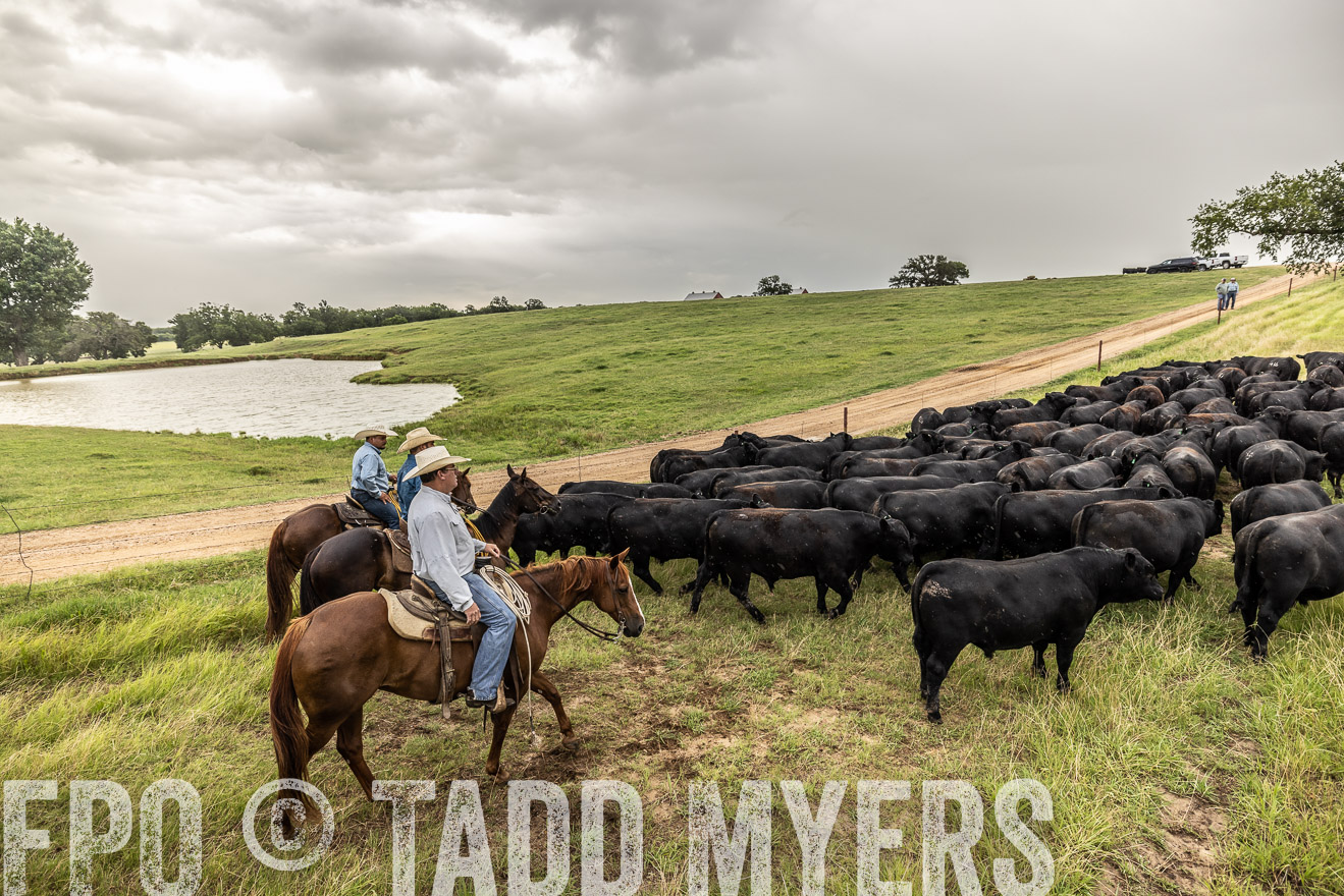 TMyers_Cameron_June2022-526613
