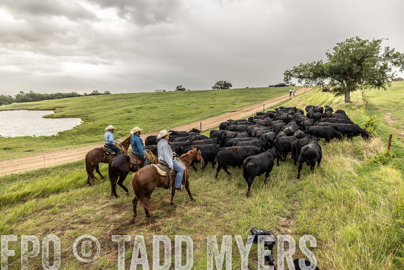 TMyers_Cameron_June2022-526618