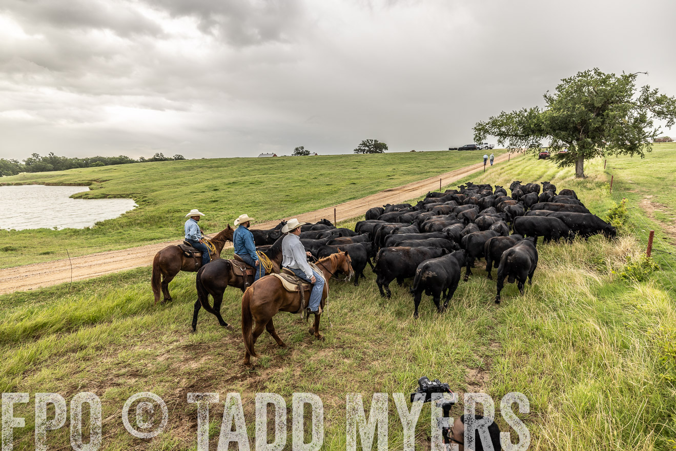 TMyers_Cameron_June2022-526620