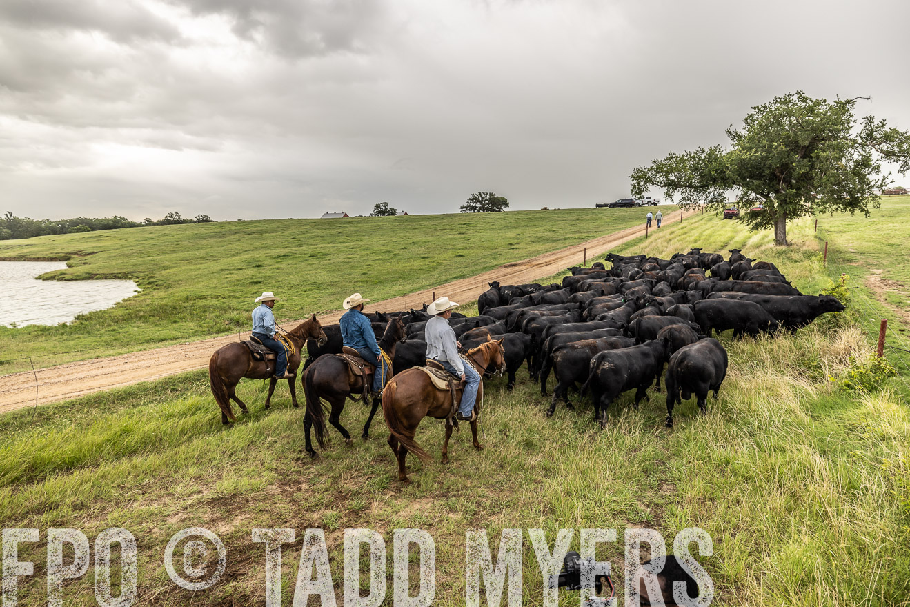 TMyers_Cameron_June2022-526624
