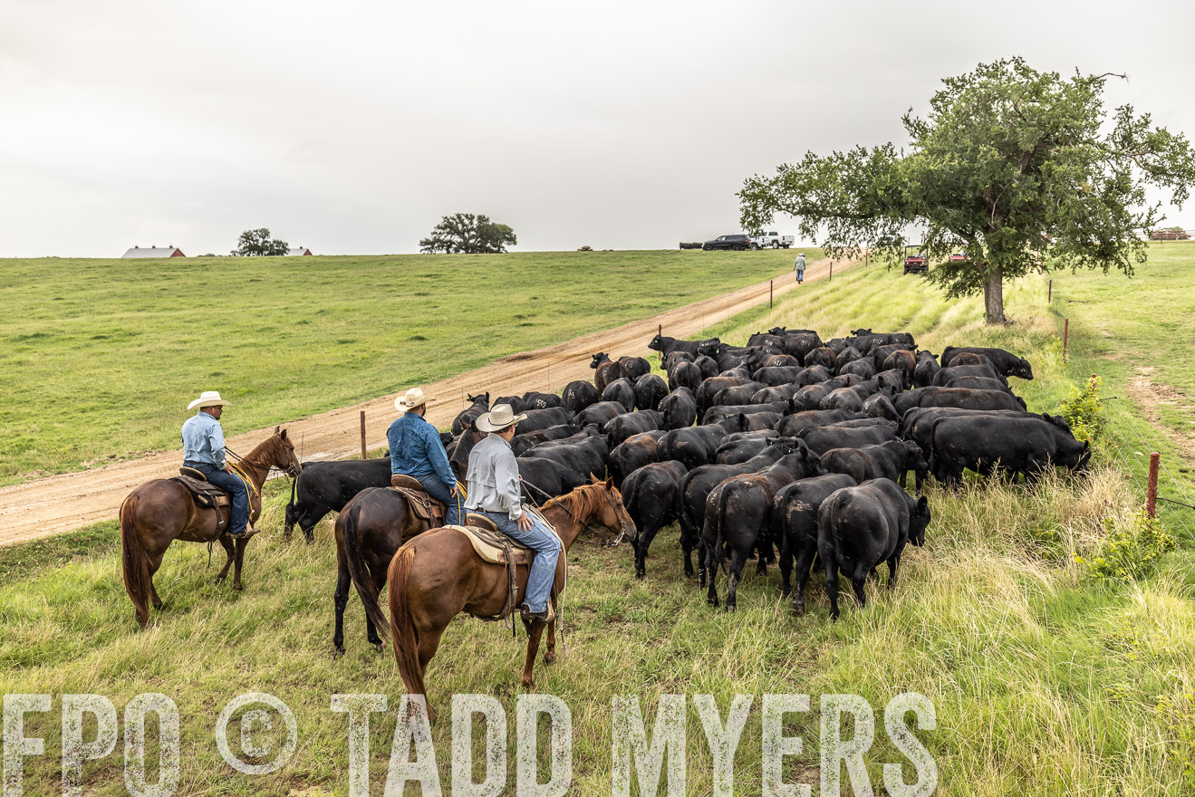 TMyers_Cameron_June2022-526637