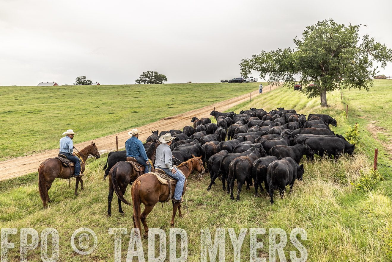 TMyers_Cameron_June2022-526639