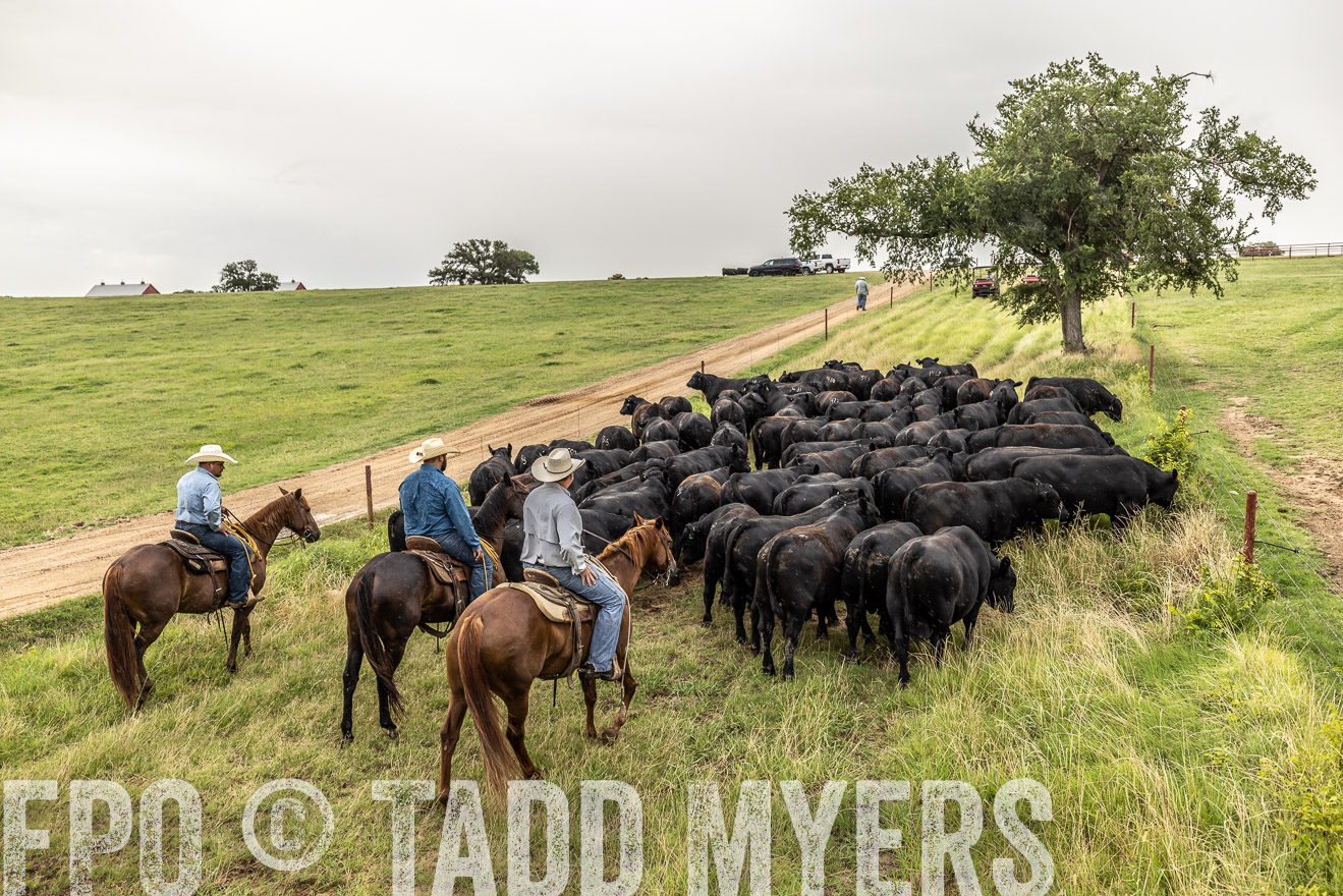 TMyers_Cameron_June2022-526641