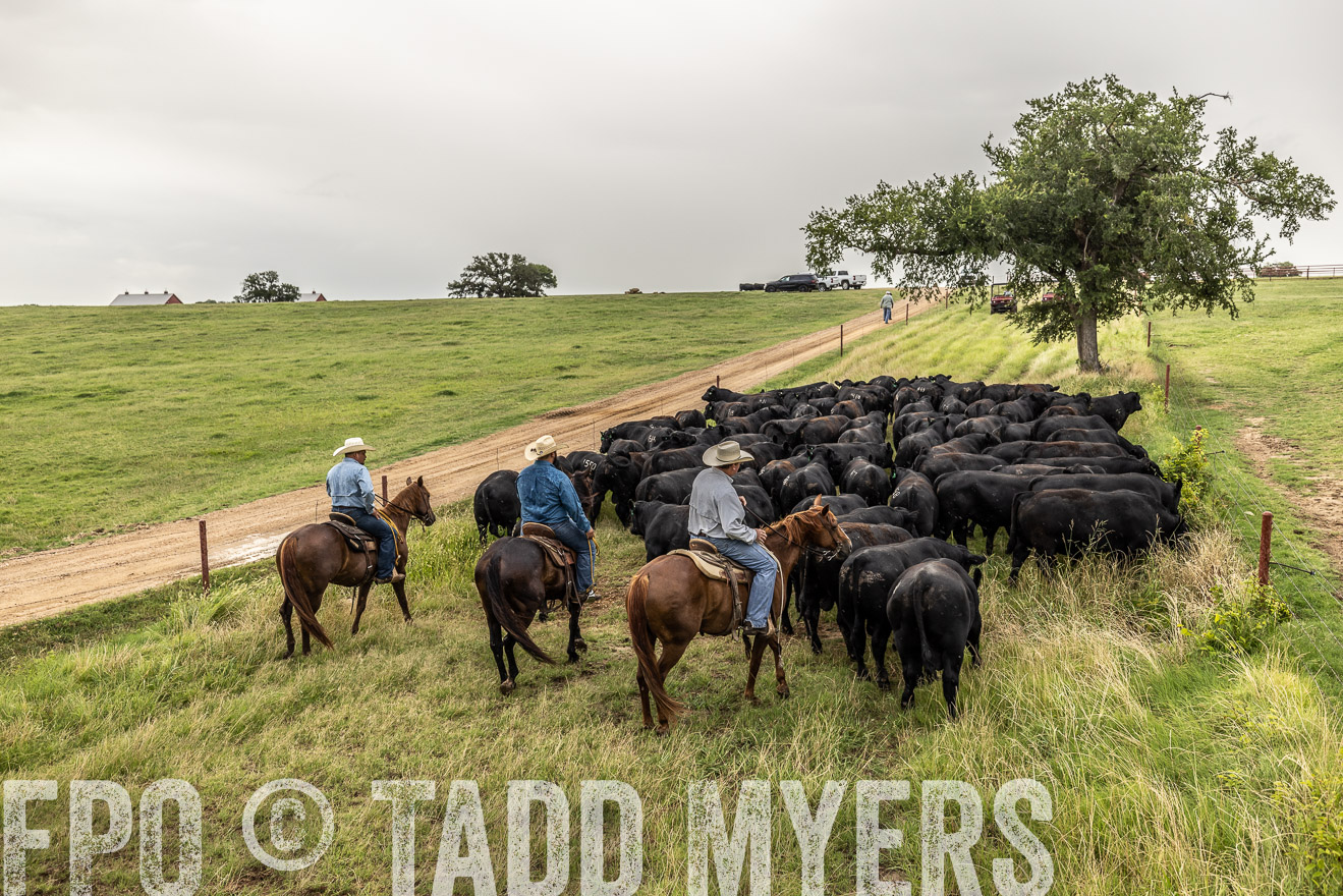 TMyers_Cameron_June2022-526649