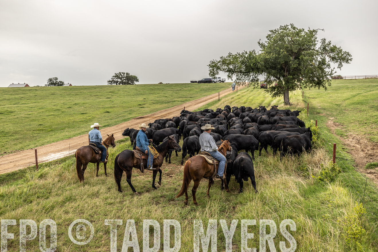 TMyers_Cameron_June2022-526654