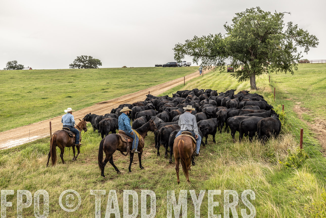 TMyers_Cameron_June2022-526657