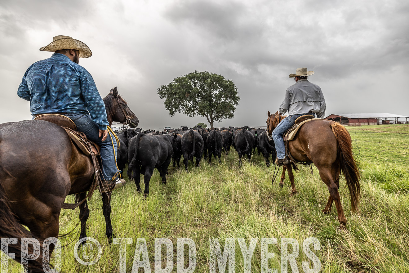 TMyers_Cameron_June2022-526676
