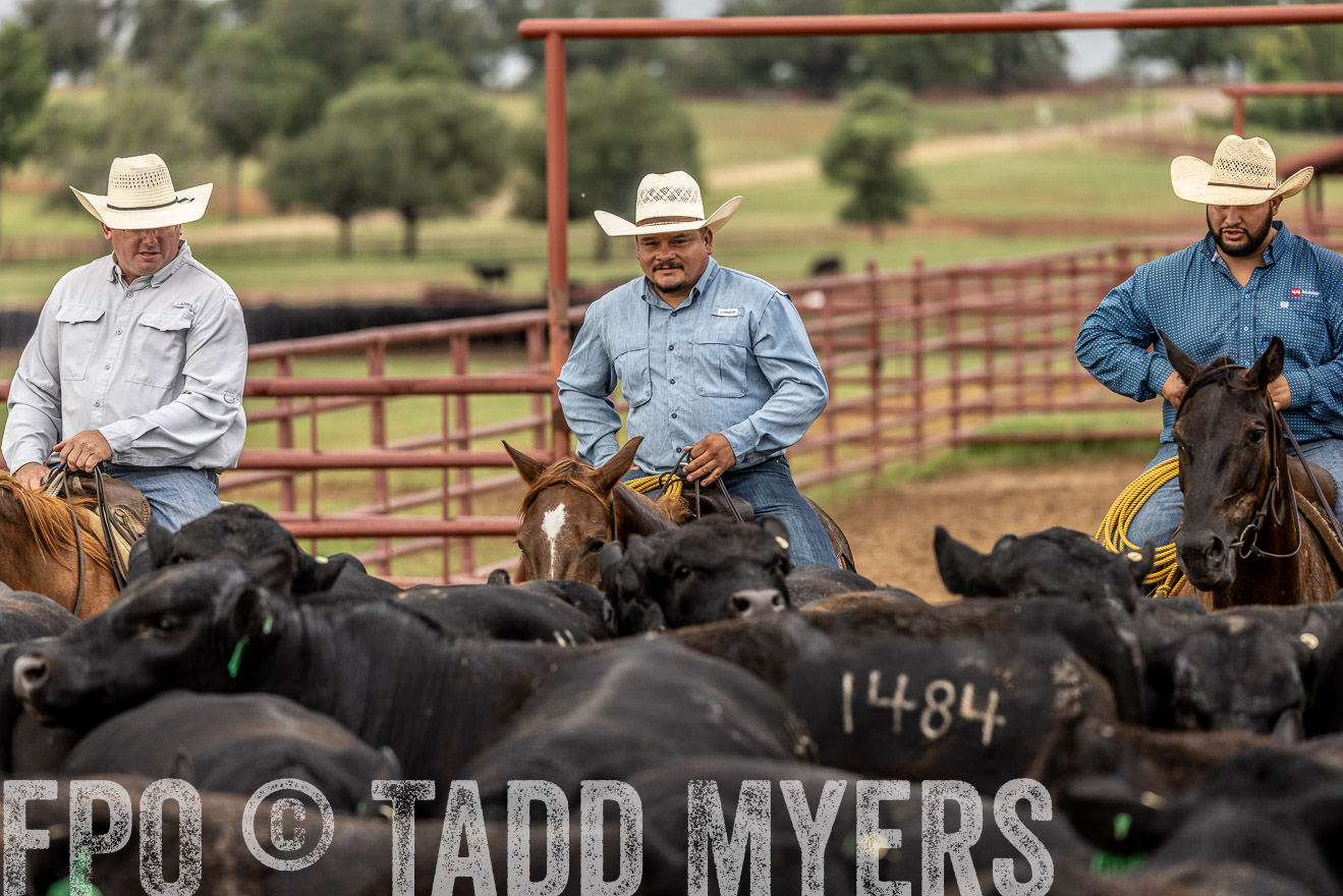 TMyers_Cameron_June2022-526820