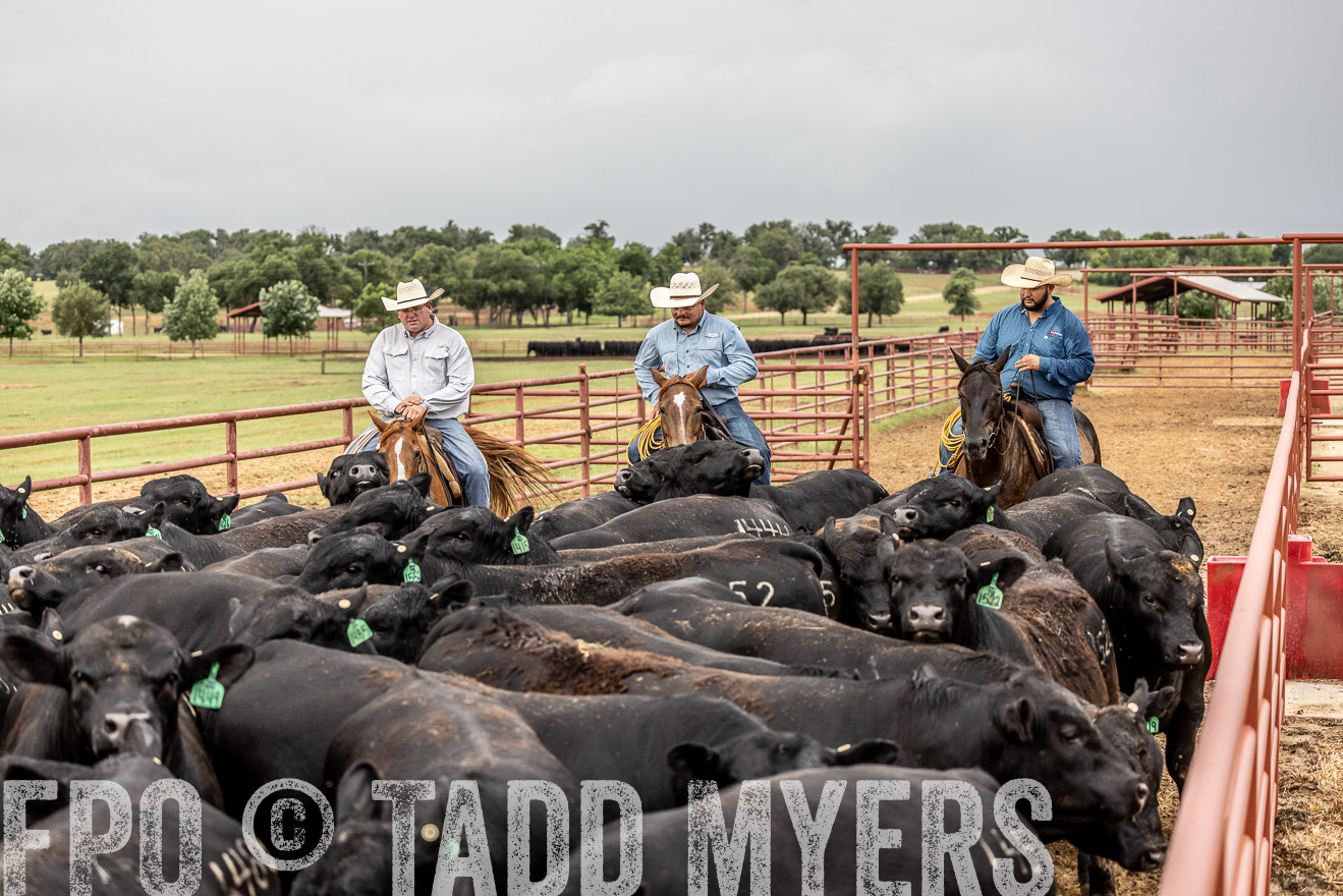 TMyers_Cameron_June2022-526835