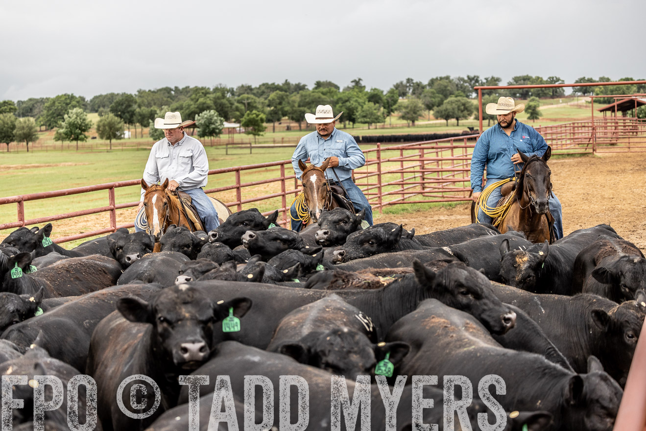 TMyers_Cameron_June2022-526839
