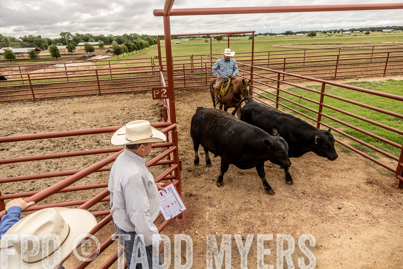 TMyers_Cameron_June2022-526964