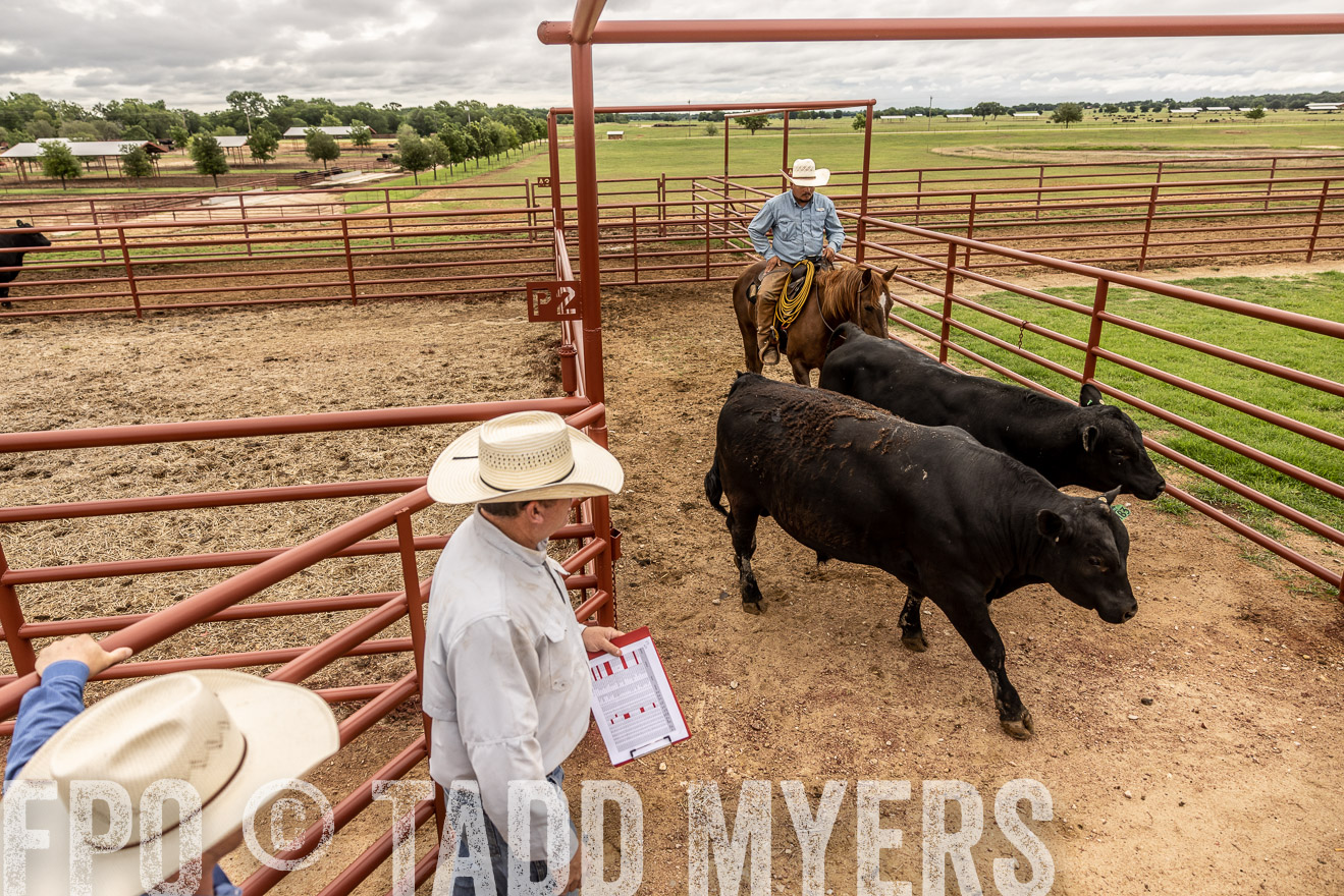 TMyers_Cameron_June2022-526965