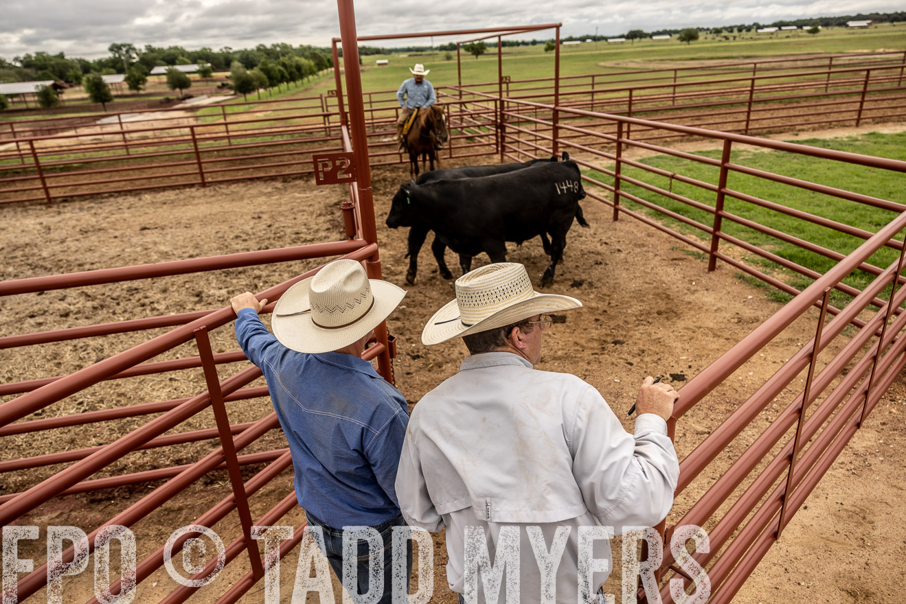 TMyers_Cameron_June2022-526973