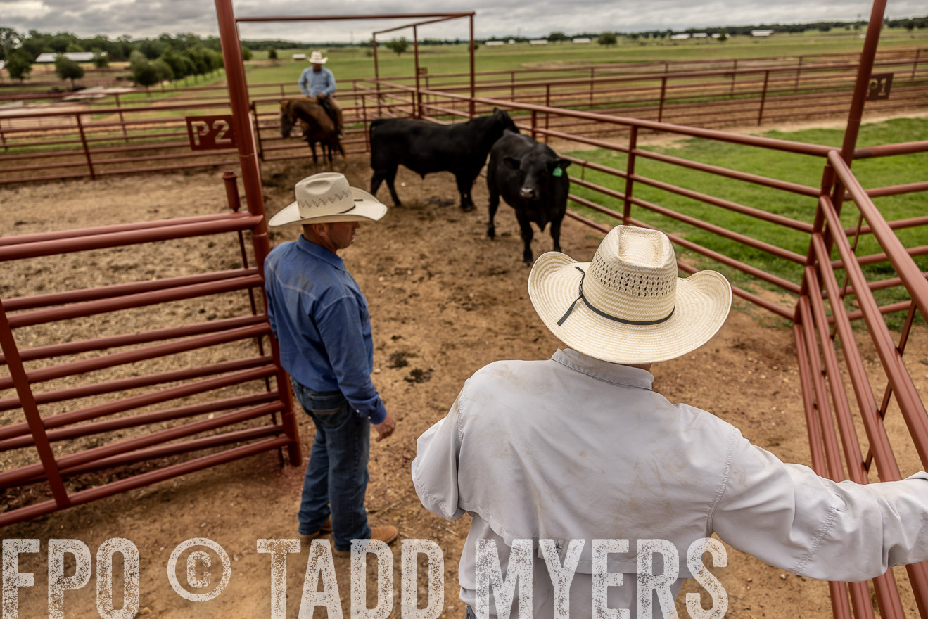 TMyers_Cameron_June2022-526994