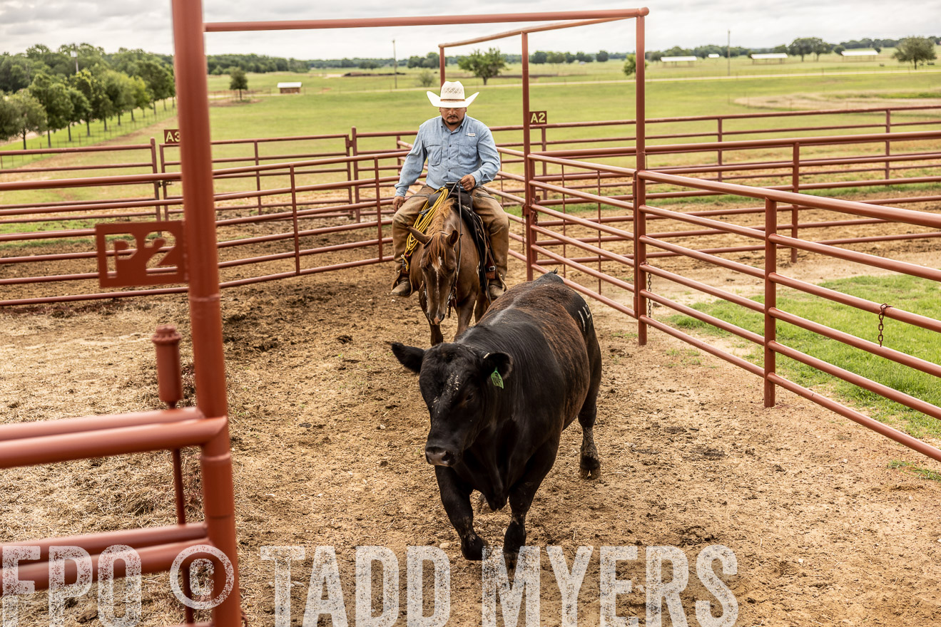 TMyers_Cameron_June2022-527001
