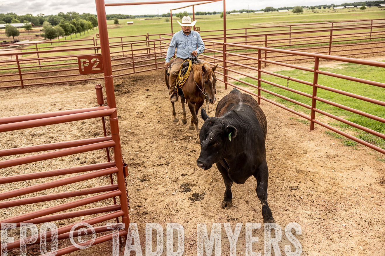 TMyers_Cameron_June2022-527004